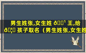 男生姓张,女生姓 🌹 王,给 🦊 孩子取名（男生姓张,女生姓王,给孩子取名怎么取）